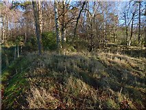 NS4276 : The former site of Hill of Garshake Farm by Lairich Rig