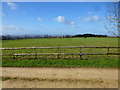 Paddocks near Upper Colgate Farm