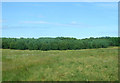 Farmland towards Locheye