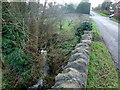 Gayton Brook at Phocle Green