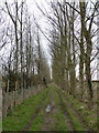 Footpath to Lynsted