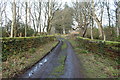 Track over the Old Railway Bridge, Culzean