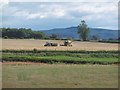 Harvest near Cormaddie