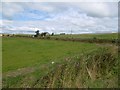 Fields beside the B729