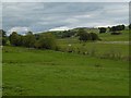 Fields near Dunscore