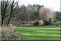 Adventure Cove / Play Fort, Culzean Country Park