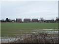 Young crop field, Skipsea