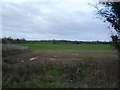 Farmland off Mill Lane