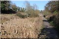 Silted canal near Stanton