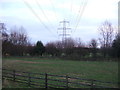 Grazing and power lines, Scripton Farm