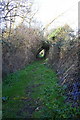 Footpath from Hinton Road towards Longworth passing nursery