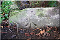 Benchmark on culvert beside Appleton Road