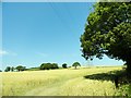 Fields east of Hollinside Lane