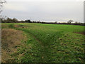 Tolworth Court Farm Fields