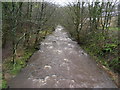 River Brock at Higher Brock Bridge