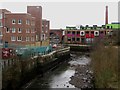 Looking downstream along the Ouseburn