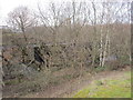 Disused railway viaduct