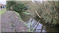 A drainage ditch (rhine) adjacent to the A403 at Northwick