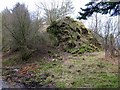 NY8673 : Remains of Simonburn Castle by Andrew Curtis