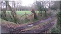 Field and track on Knellers Lane