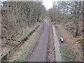 The south end of Killamarsh Central Station