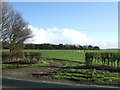 Field entrance off Lissett Lane (A165)