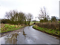 Bridge over Bourne Brook