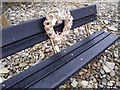 Amroth - memorial bench and shell wreath