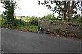 Stone wall beside Manchester Road