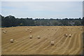 Hay bales