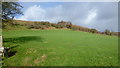 Scrubby hillside above St. Teilo