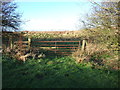 Field entrance (footpath) off Wide Lane, Speeton