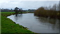 SO5635 : The River Wye at Holme Lacy by Jonathan Billinger