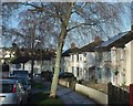 Houses on Hawkins Avenue, Torquay