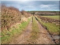 Farm track off Bartindale Road