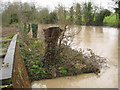 SP2965 : River Avon just above the gauging station, southeast Warwick, 2016-02-08, 11:34 by Robin Stott