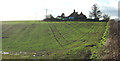 Crop field, Reighton