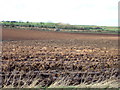 Ploughed field towards the A165