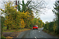 Autumn hedge, Luxted Road