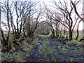 SN5409 : Llwybr Durclawdd Fawr Path by Alan Richards