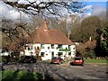 Oak and Ivy, Hawkhurst