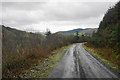 Forestry track below Graig Ddu