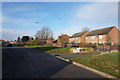 Houses on Albany Vilas