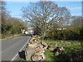 West Heath Road across Bostall Heath