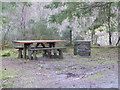 Picnic area, Glasdir Car Park, Coed y Brenin