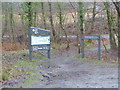 Information Board, Glasdir car Park, Coed y Brenin