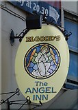 TF4609 : The Angel (Sign) - Public Houses, Inns and Taverns of Wisbech by Richard Humphrey