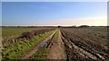 Trent Valley Way near Besthorpe