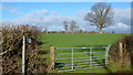 Footpath and gate