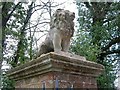 Lion, Rockbeare Manor